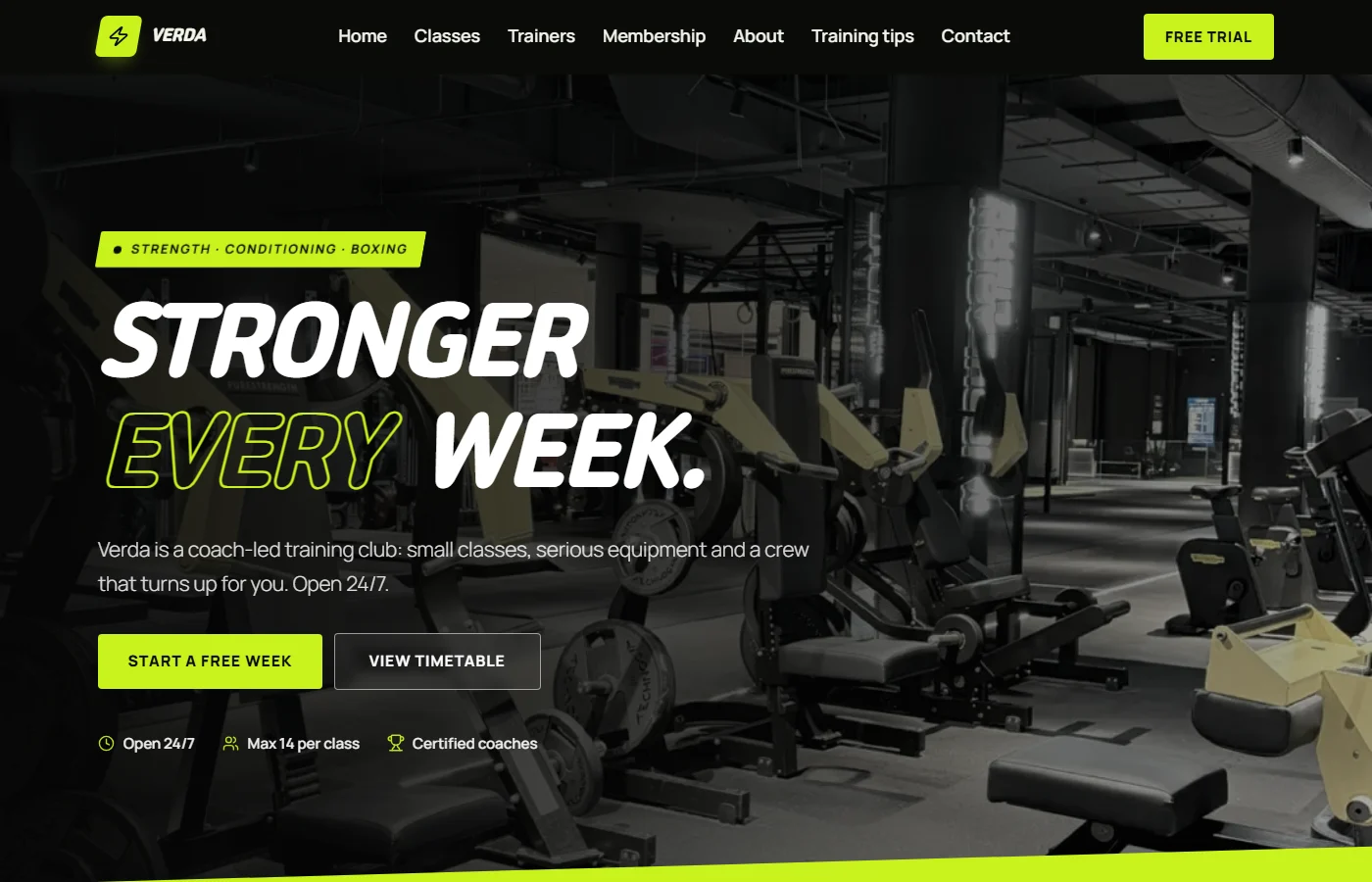 Preview of the Gym & fitness template