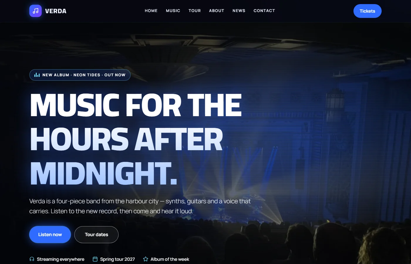 Preview of the Musician / band template