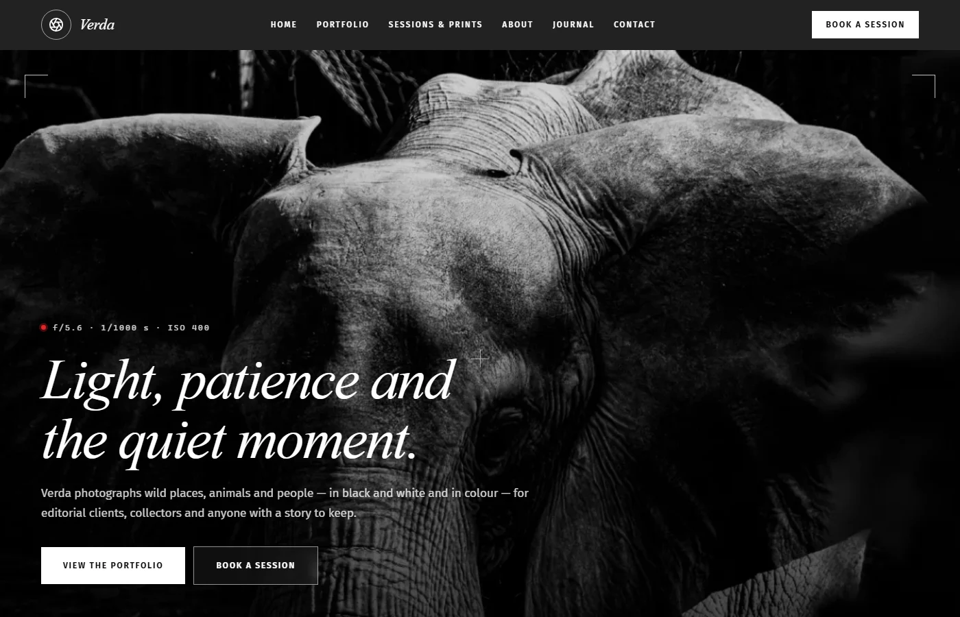 Preview of the Photographer template
