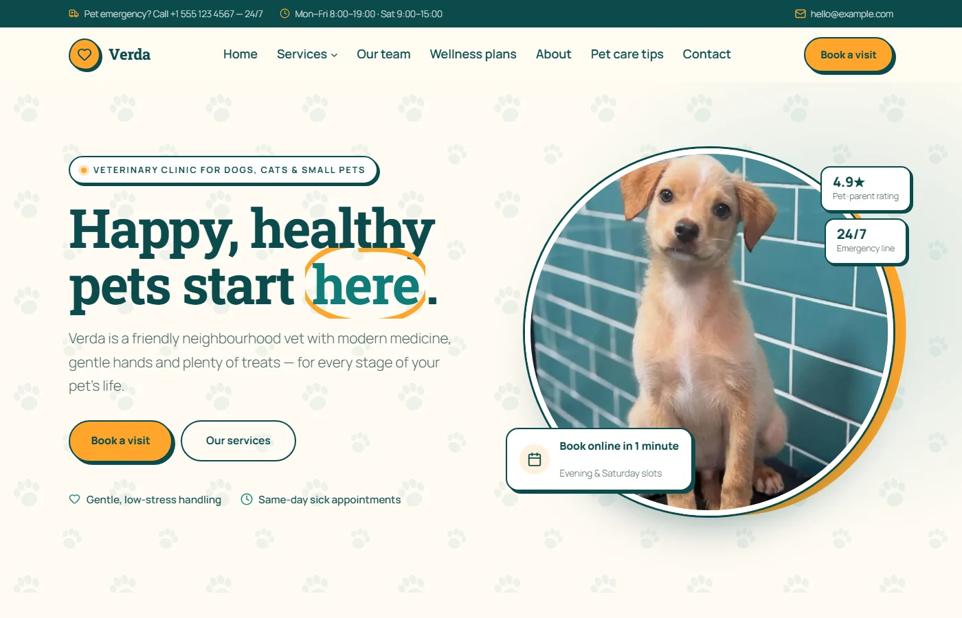 Preview of the Veterinary clinic template